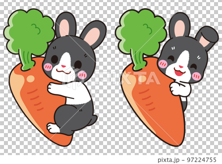 Cute Dutch rabbit sticking to carrot 97224755