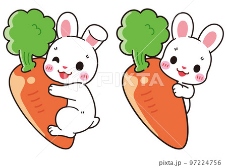 人参にくっつく可愛い白毛ウサギ 人参にくっつく可愛い白毛ウサギ 97224756