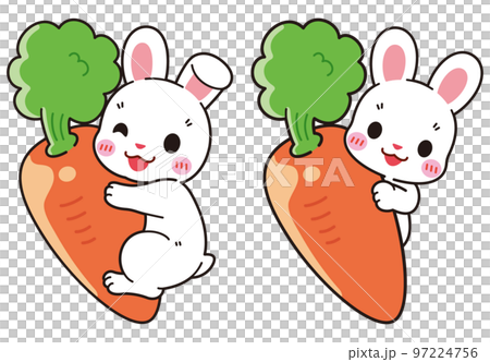 人参にくっつく可愛い白毛ウサギ 人参にくっつく可愛い白毛ウサギ 97224756