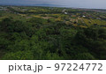 Asian rural countryside infrastructure tropical palm tree rice field automobile traffic aerial view 97224772