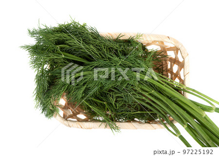 Top view of a bunch of fresh dill in a bowl over a white background. 97225192
