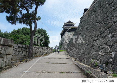 松山市の中心部、勝山（標高132m）にそびえ立つ松山城は、賤ヶ岳の合戦で有名な七本槍の 97225380