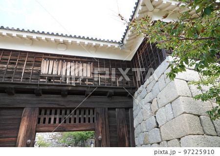 松山市の中心部、勝山(標高132m)にそびえ立つ松山城は、賤ヶ岳の合戦で有名な七本槍の 松山市の中心部、勝山(標高132m)にそびえ立つ松山城は、賤ヶ岳の合戦で有名な七本槍の 97225910