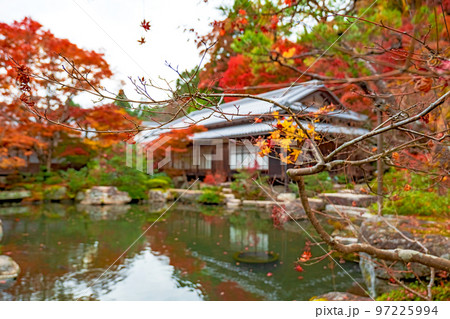 滋賀 百済寺 本坊庭園の秋景色 滋賀 百済寺 本坊庭園の秋景色 97225994