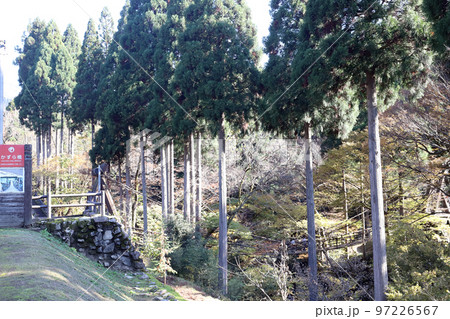 越前池田町のかずら橋（福井県 池田町） 97226567