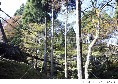 越前池田のかずら橋（福井県 池田町） 97226573