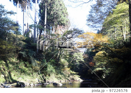越前池田町のかずら橋（福井県 池田町） 97226576