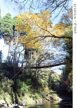 越前池田町のかずら橋（福井県 池田町） 97226578