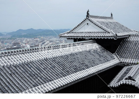 松山市の中心部、勝山(標高132m)にそびえ立つ松山城は、賤ヶ岳の合戦で有名な七本槍の 松山市の中心部、勝山(標高132m)にそびえ立つ松山城は、賤ヶ岳の合戦で有名な七本槍の 97226667