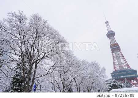 真冬の札幌大通の雪景色 97226789