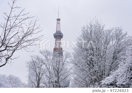 真冬の札幌大通の雪景色 真冬の札幌大通の雪景色 97226823