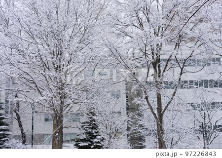 真冬の札幌大通の雪景色 真冬の札幌大通の雪景色 97226843