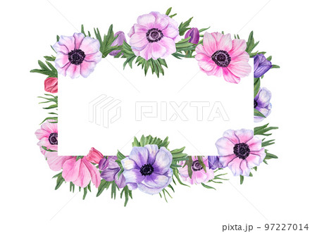 Horizontal frame with anemones isolated on white background. Watercolor floral illustration for Valentine day, wedding, birthday, mother day cards, invitation template 97227014