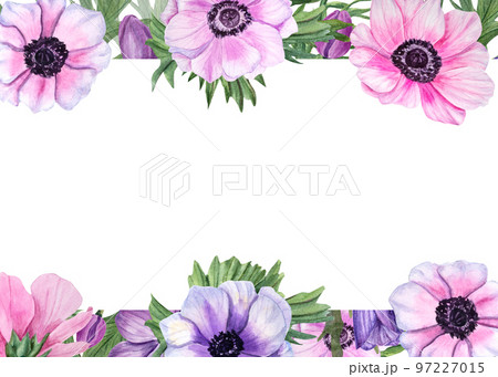 Horizontal frame with anemones isolated on white background. Watercolor floral illustration for Valentine day, wedding, birthday, mother day cards, invitation template 97227015