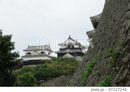 松山市の中心部、勝山（標高132m）にそびえ立つ松山城は、賤ヶ岳の合戦で有名な七本槍の 97227248