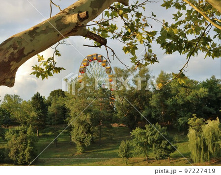 summer green park with a Ferris wheel visible from behind massive tree branches against a light sky, an urban amusement park with attractions as a combination of nature and urban space summer green park with a Ferris wheel visible from behind massive tree branches against a light sky, an urban amusement park with attractions as a combination of nature and urban space 97227419