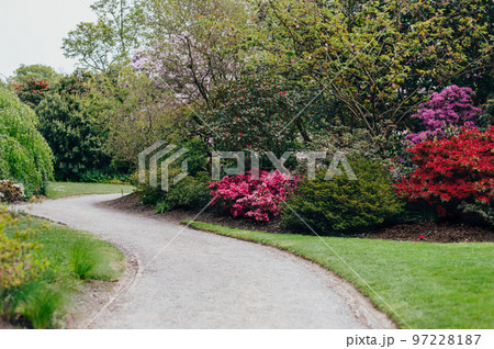 Garden with blooming trees during spring time Garden with blooming trees during spring time 97228187