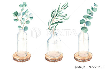 Eucalyptus branches in vases, jar, bottles on round wooden saw cuts. silver dollar, willow, true blue. Watercolor hand drawn botanical illustration isolated on white background. Eco minimalistic style Eucalyptus branches in vases, jar, bottles on round wooden saw cuts. silver dollar, willow, true blue. Watercolor hand drawn botanical illustration isolated on white background. Eco minimalistic style 97229498
