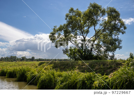 Bata Canal from a boat, Czechia / Slovakia 97229667