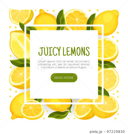 Fresh Lemon Design with Bright Yellow Citrus - Stock