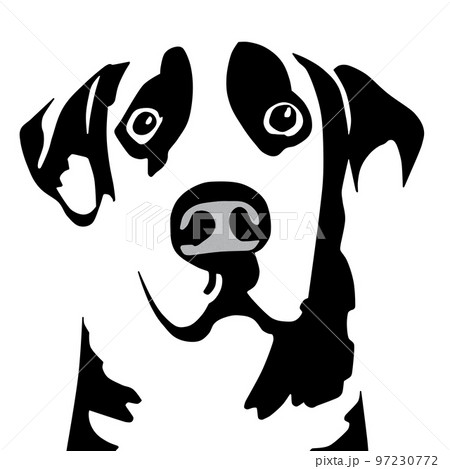 犬の顔 97230772