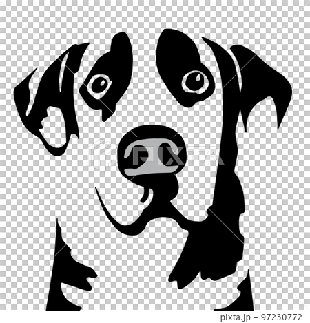 犬の顔 97230772