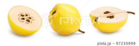 Fresh quince half isolated on the white background and full depth of field Fresh quince half isolated on the white background and full depth of field 97230999