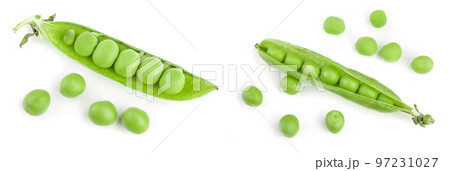 Fresh green pea pod isolated on white background 97231027
