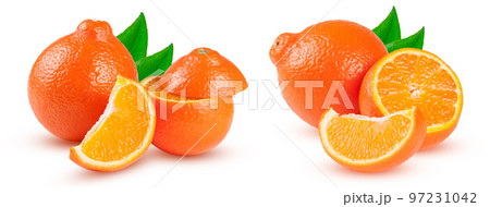 two orange tangerine or Mineola with slices and leaf isolated on white background 97231042