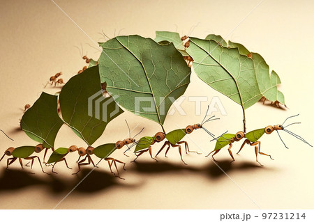 Industrious and strong ants carrying leaves to build their anthill 97231214