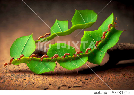 Industrious and strong ants carrying leaves to build their anthill 97231215