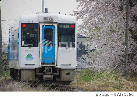 左沢線羽前高松駅 桜 キハ101 左沢線羽前高松駅 桜 キハ101 97231566