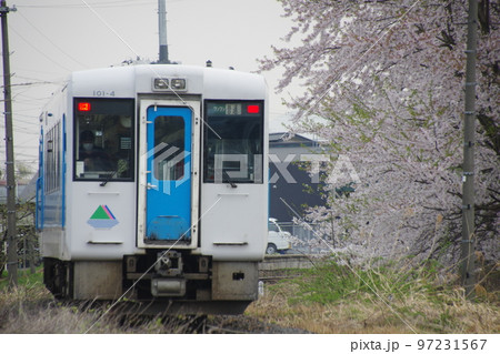 左沢線羽前高松駅 桜 キハ101 左沢線羽前高松駅 桜 キハ101 97231567