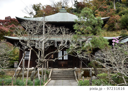 鎌倉 瑞泉寺本堂 鎌倉 瑞泉寺本堂 97231616