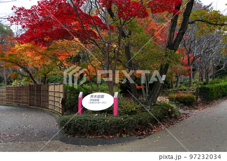 相模原麻溝公園 案内板 相模原麻溝公園 案内板 97232034