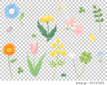 一組鬱金香、蒲公英、櫻花等春天的花朵插畫 一組鬱金香、蒲公英、櫻花等春天的花朵插畫 97233565