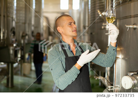 Professional vintner checking quality of wine at winery 97233735