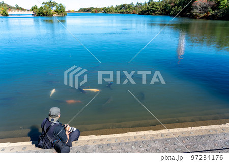 三重県鈴鹿市　秋の鈴鹿青少年の森にある道伯池で写真を撮る高齢男性 97234176