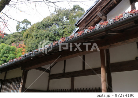 2022苔寺 2022苔寺 97234190