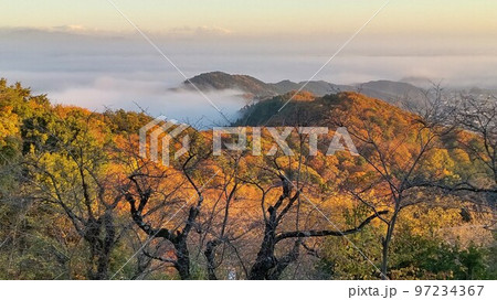 栃木県太平山から見る雲海と紅葉 97234367