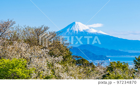 日本平から望む富士山 97234870