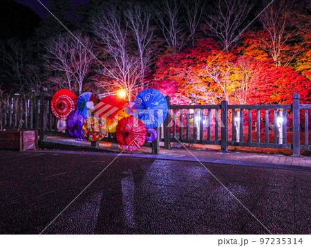 栃木県 那須塩原市 塩原温泉郷の紅の吊橋 97235314