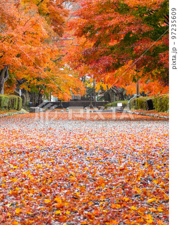 栃木県那須塩原市 大山参道 大山公園 97235609