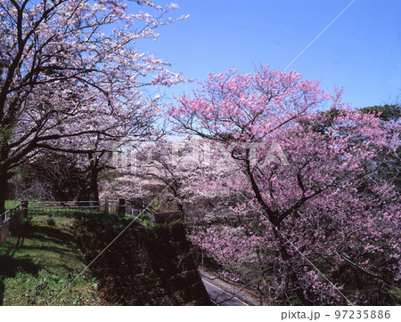 青葉城　仙台城址 97235886