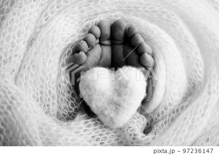 Knitted heart in the legs of a baby. Soft feet of a new born in a wool blanket. Close-up of toes, heels and feet of a newborn. Macro black and white photography the tiny foot of a newborn baby. Knitted heart in the legs of a baby. Soft feet of a new born in a wool blanket. Close-up of toes, heels and feet of a newborn. Macro black and white photography the tiny foot of a newborn baby. 97236147
