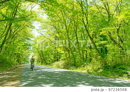 新緑・初夏のサイクリングイメージ(大山） 97236508