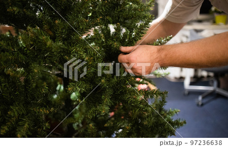 man decorates and straightens the christmas tree man decorates and straightens the christmas tree 97236638