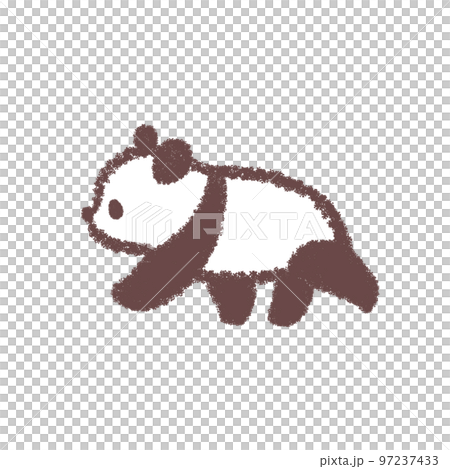 baby panda walking 1 97237433