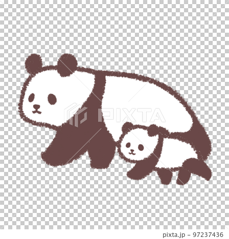 Walking panda parent and child 2 97237436