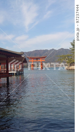 修繕工事を終えた日本三景宮島の大鳥居 修繕工事を終えた日本三景宮島の大鳥居 97237444